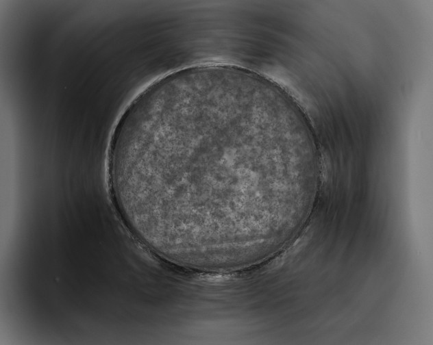 X0000093121278200710101033