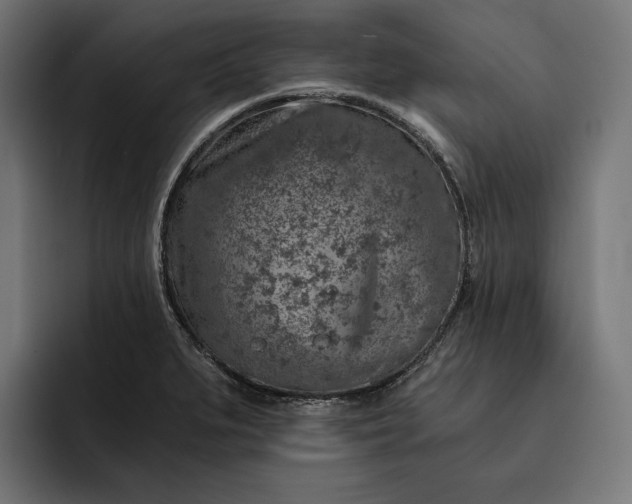 X0000093121279200710101033