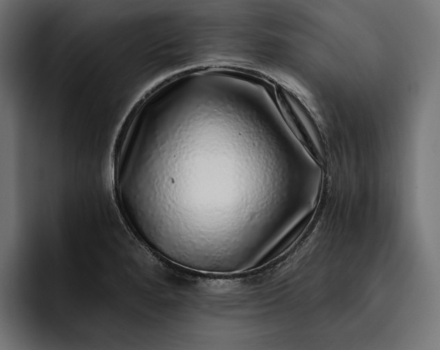 X0000093121280200710101033