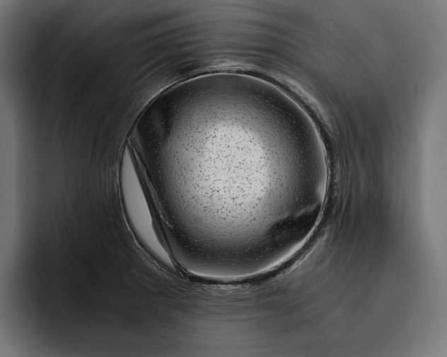 X0000093121281200710101033