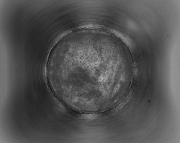 X0000093121282200710101033