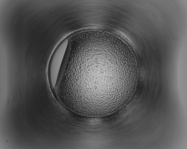 X0000093121283200710101033