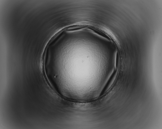 X0000093121284200710101033