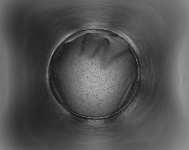 X0000093121285200710101033