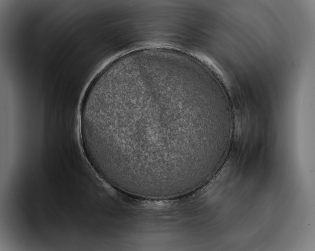 X0000093121286200710101033