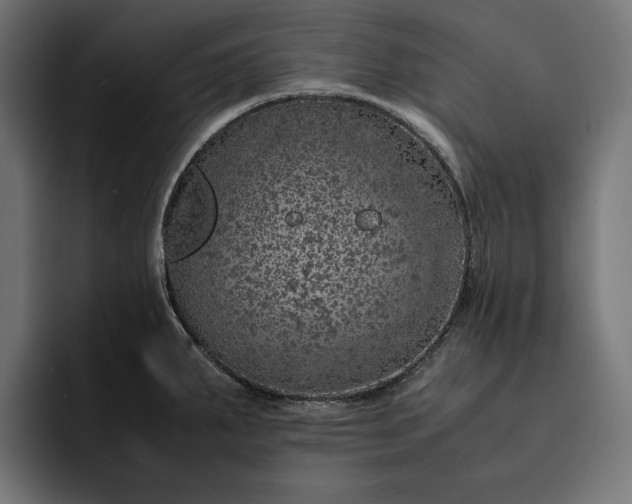 X0000093121287200710101033