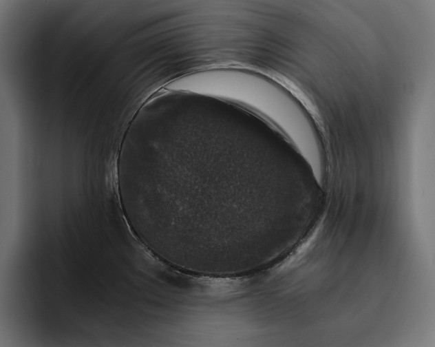 X0000093121289200710101033