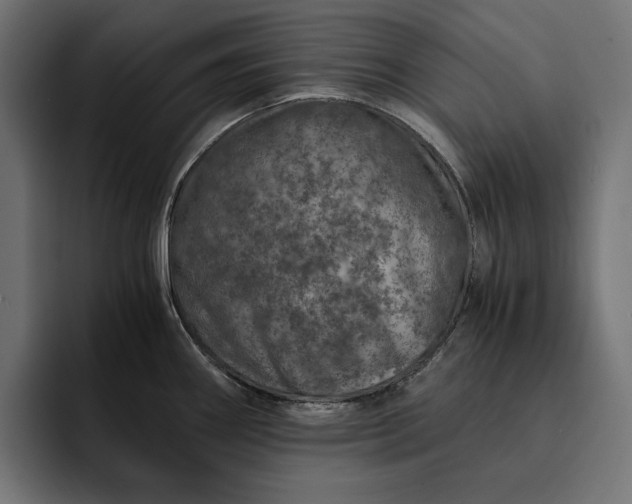 X0000093121290200710101033