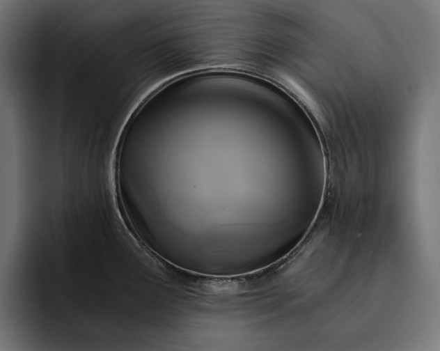 X0000093121291200710101033