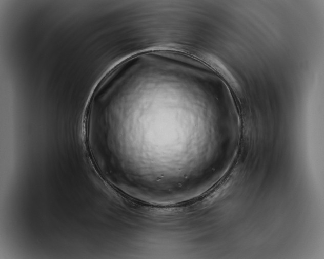 X0000093121292200710101033