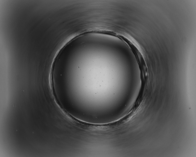 X0000093121293200710101033