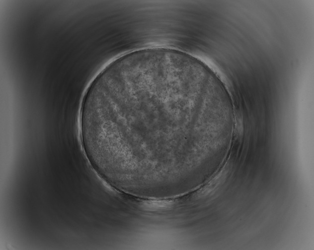 X0000093121294200710101033