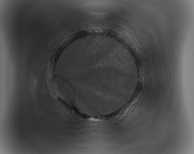 X0000093121297200710101032