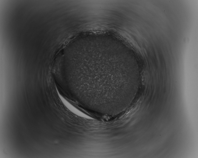 X0000093121298200710101032