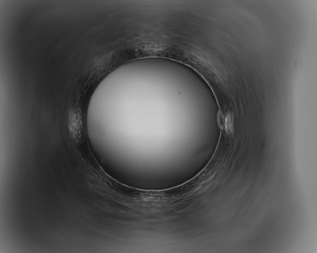 X0000093121299200710101032