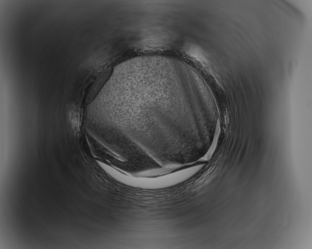 X0000093121300200710101032