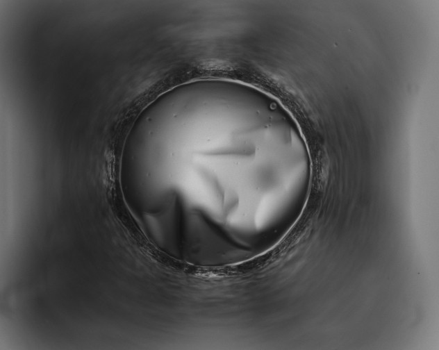 X0000093121301200710101032