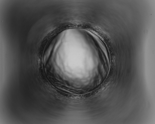 X0000093121302200710101032