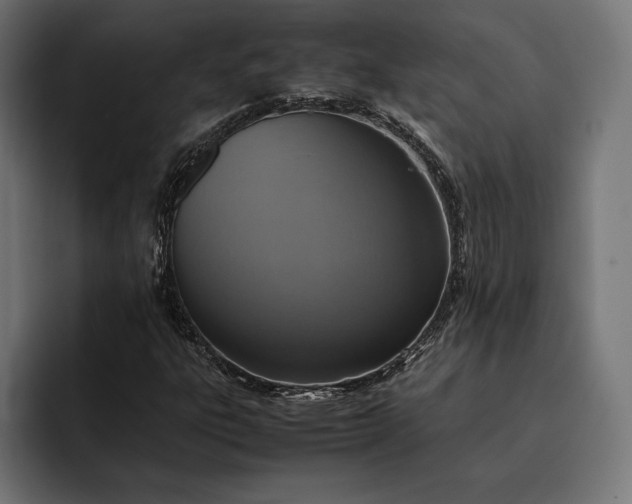 X0000093121303200710101032