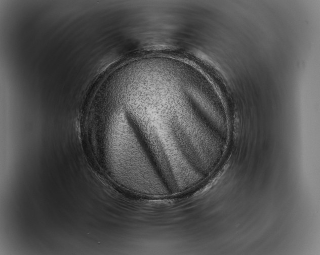 X0000093121305200710101032