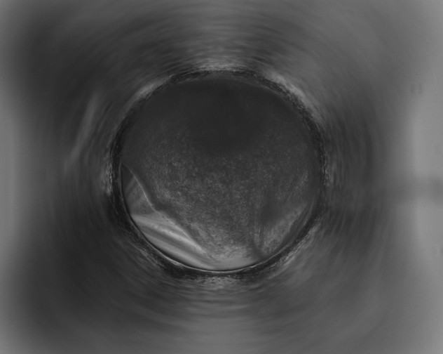 X0000093121306200710101032