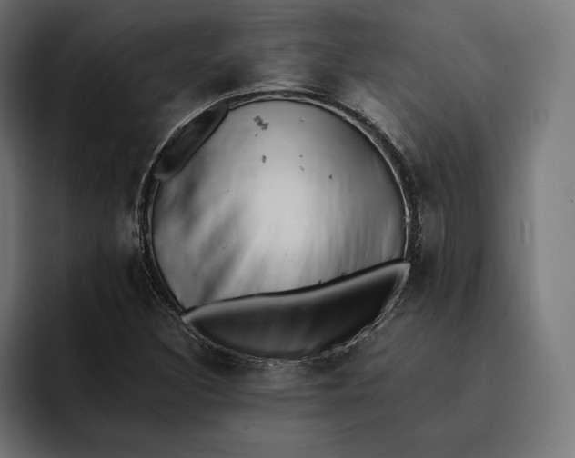 X0000093121308200710101032