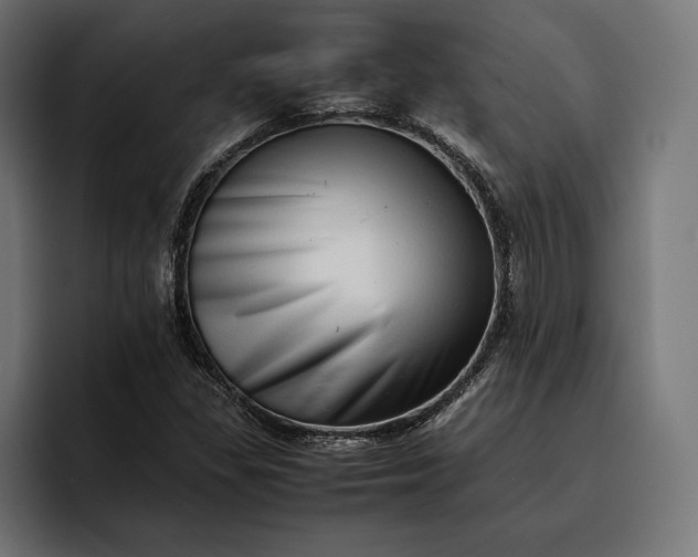 X0000093121309200710101032