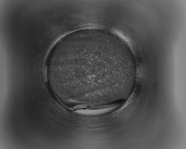 X0000093121310200710101032