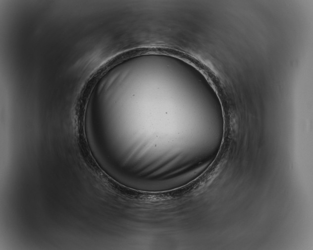 X0000093121311200710101032