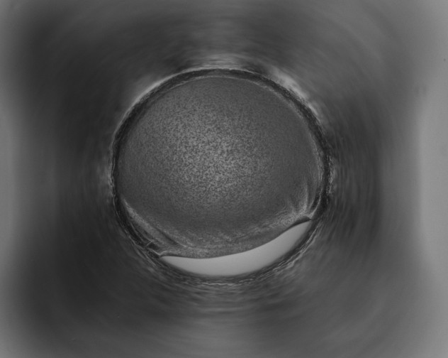 X0000093121312200710101032