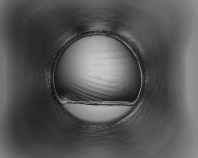 X0000093121313200710101032