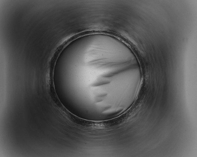 X0000093121315200710101033