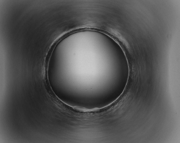 X0000093121316200710101033