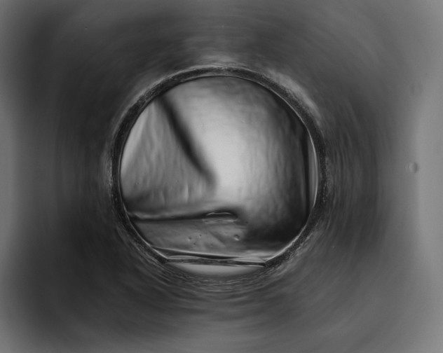 X0000093121318200710101033