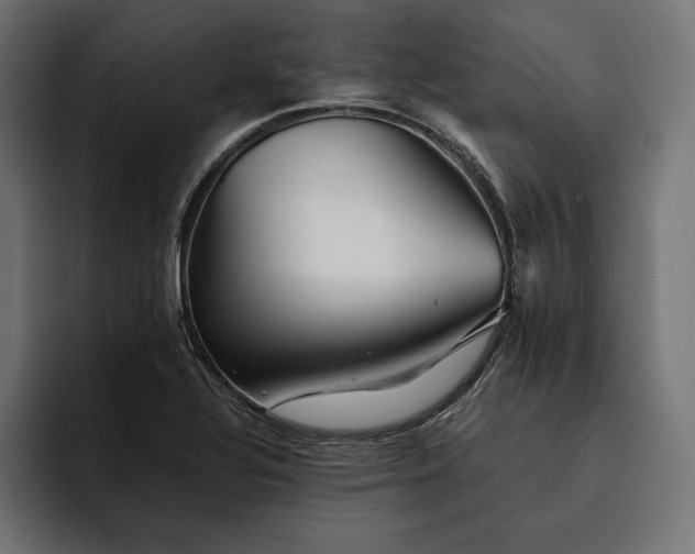 X0000093121320200710101033