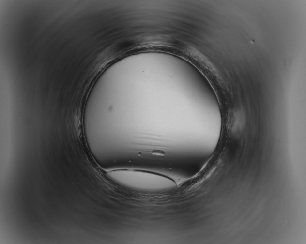 X0000093121321200710101033