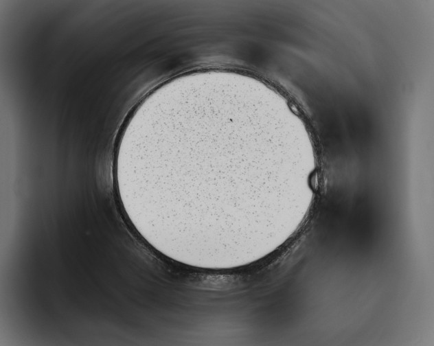 X0000093121322200710101033