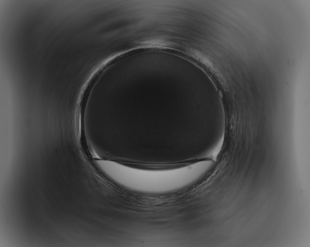 X0000093121323200710101033