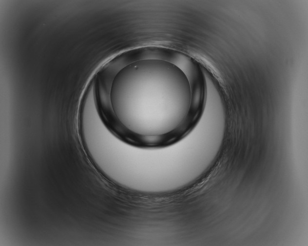 X0000093121324200710101033