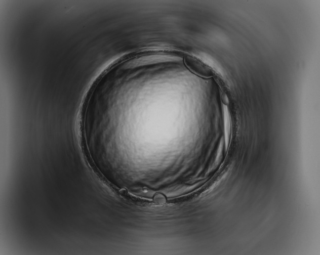 X0000093121325200710101033