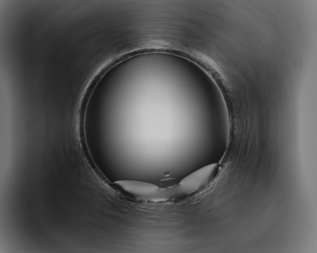 X0000093121326200710101033