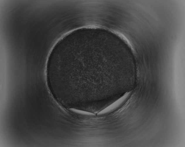 X0000093121327200710101033