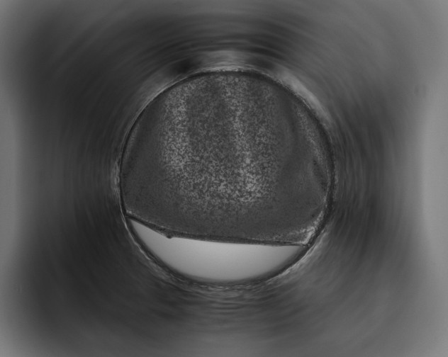 X0000093121329200710101033