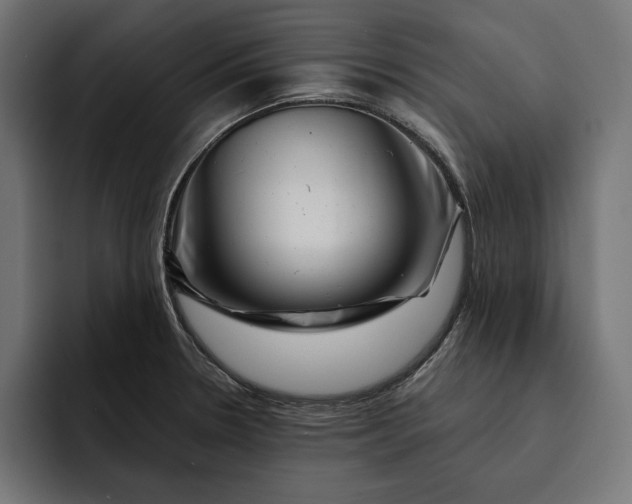 X0000093121330200710101033