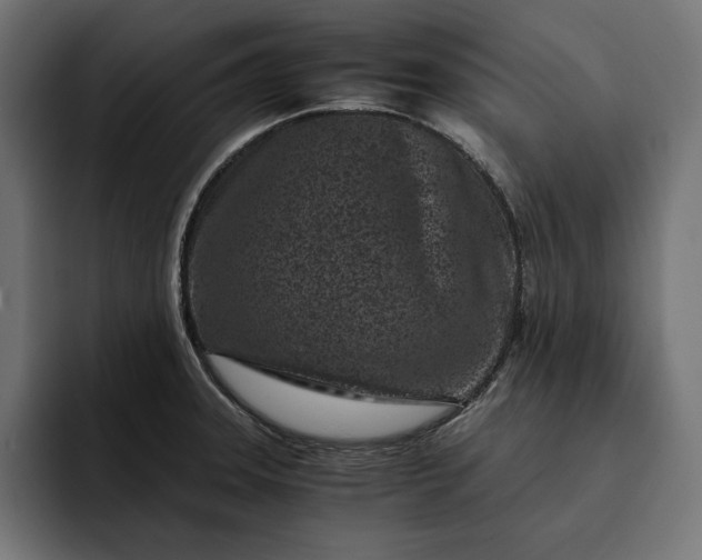 X0000093121331200710101033