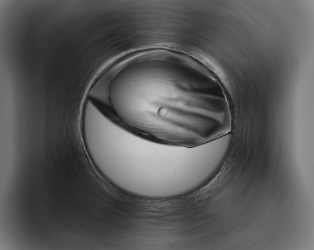 X0000093121332200710101033