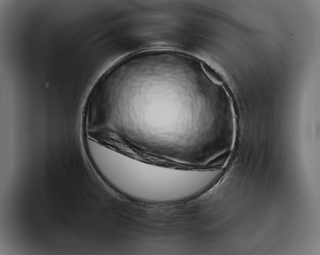 X0000093121333200710101033