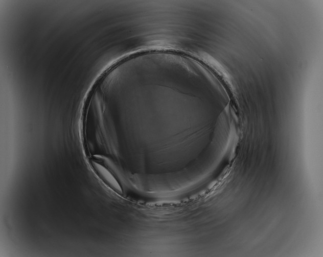 X0000093121334200710101033