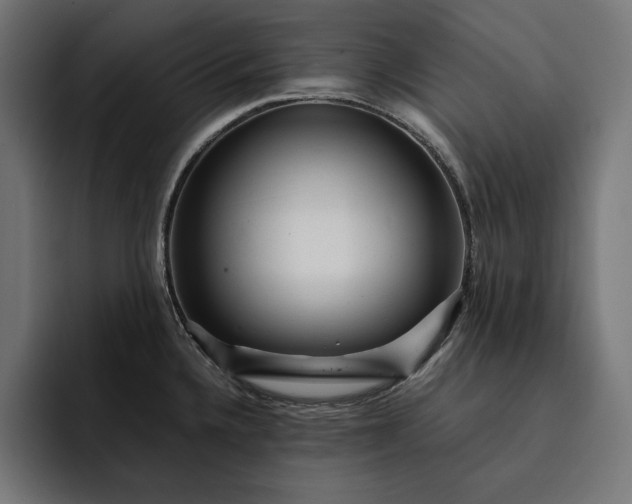 X0000093121336200710101033