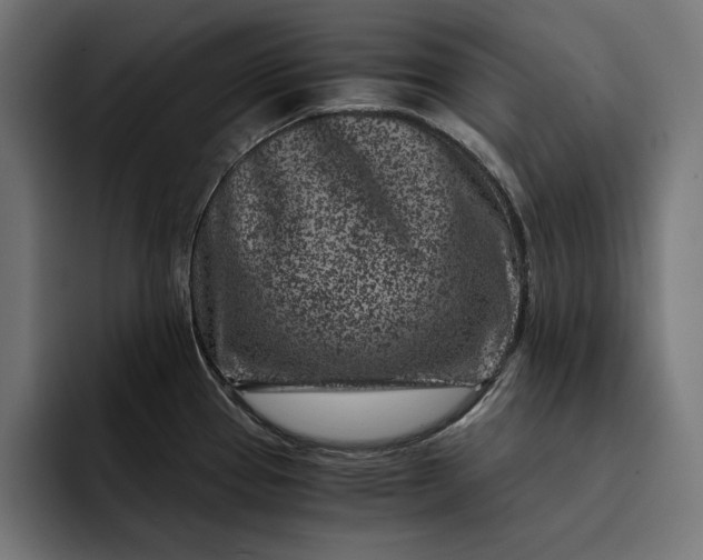 X0000093121337200710101033